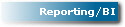 Reporting/BI